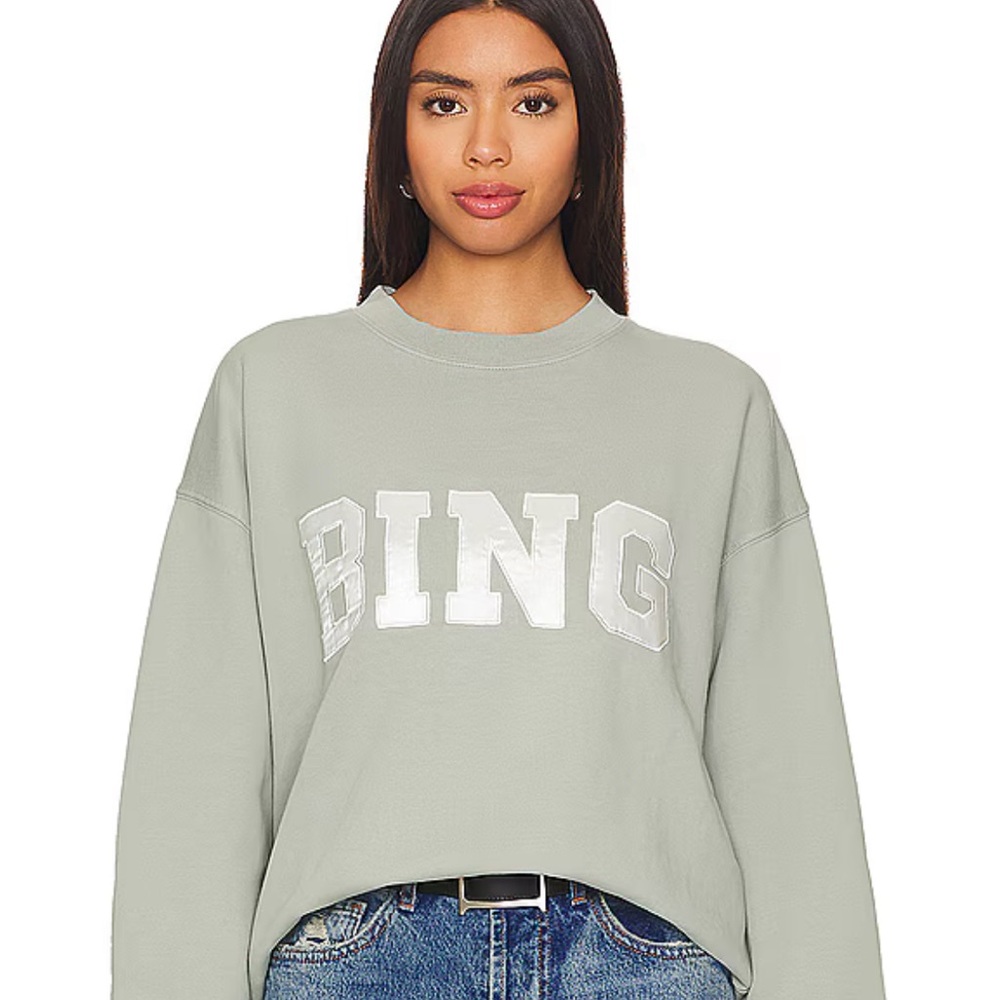 NWT Anine Bing Tyler Sweatshirt